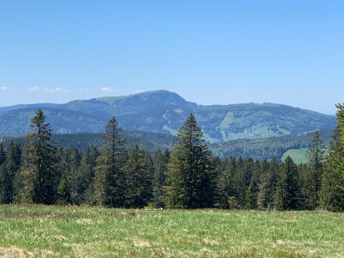 Haus Am Sonnenberg,todtnauberg, 105, Direkt Am Skilift-skipiste, Nähe Feldberg Apartment